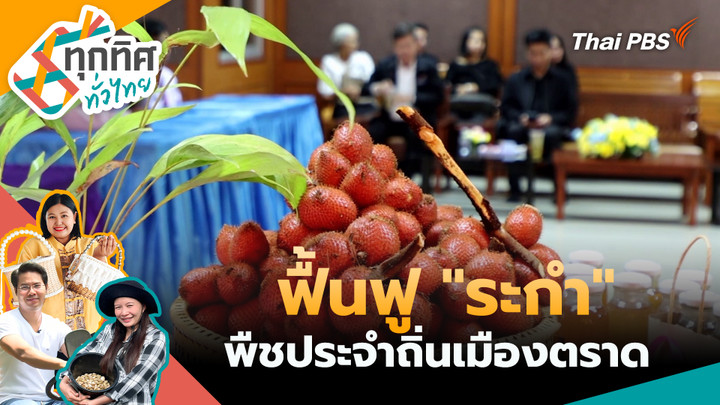 ฟื้นฟู "ระกำ" พืชประจำถิ่นเมืองตราด