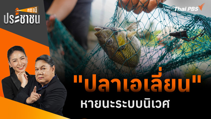 "ปลาเอเลี่ยน" หายนะระบบนิเวศ