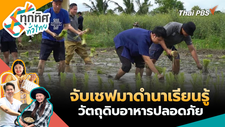 จับเชฟมาดำนาเรียนรู้วัตถุดิบอาหารปลอดภัย