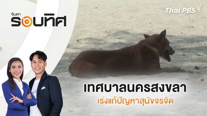 เทศบาลนครสงขลาเร่งแก้ปัญหาสุนัขจรจัด