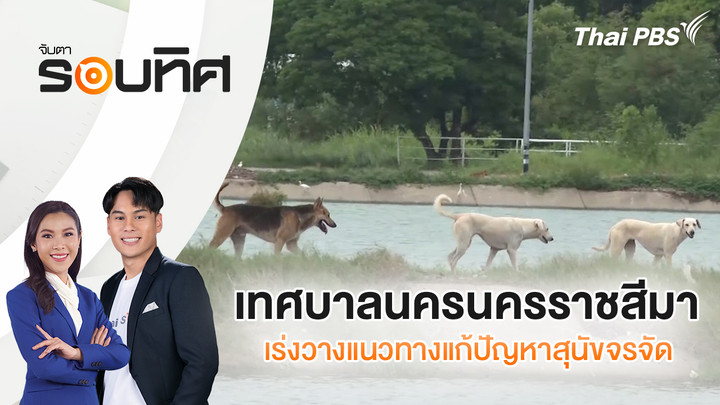 เทศบาลนครนครราชสีมา เร่งวางแนวทางแก้ปัญหาสุนัขจรจัด