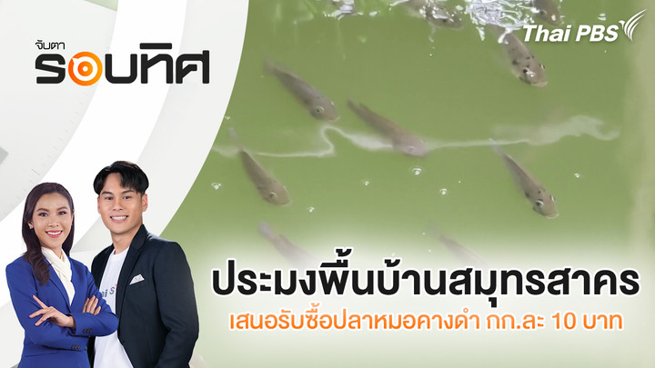 ประมงพื้นบ้านสมุทรสาคร เสนอรับซื้อปลาหมอคางดำ กก.ละ 10 บาท