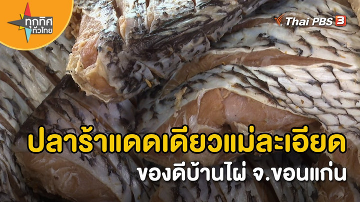 อาชีพทั่วไทย : ปลาร้าแดดเดียวแม่ละเอียดของดีบ้านไผ่ จ.ขอนแก่น