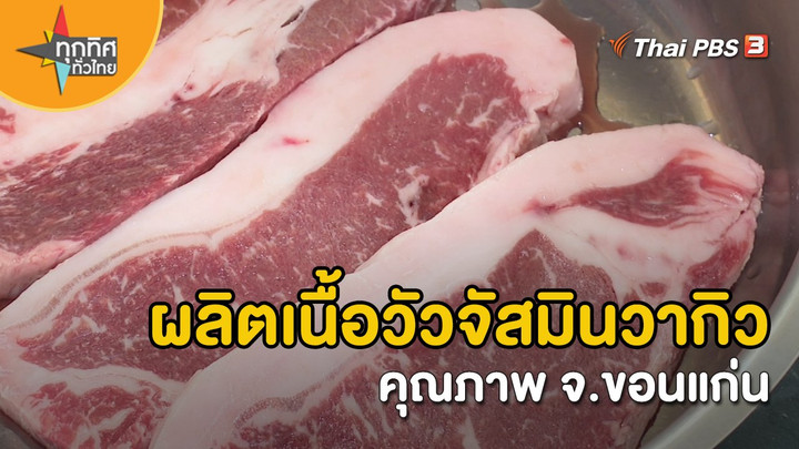อาชีพทั่วไทย : ผลิตเนื้อวัวจัสมินวากิวคุณภาพ จ.ขอนแก่น