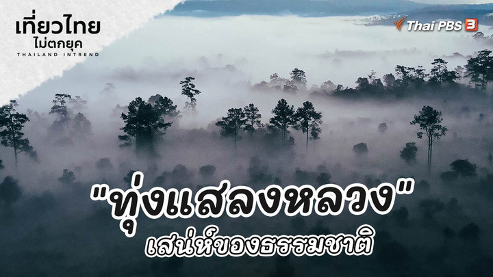 ​เที่ยวทั่วไทย : "ทุ่งแสลงหลวง" เสน่ห์ของธรรมชาติ