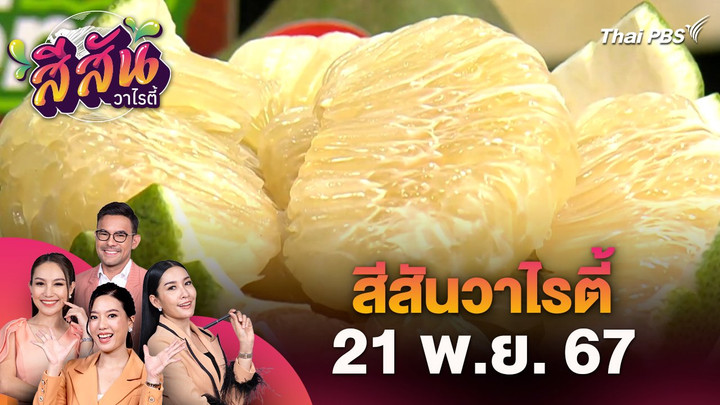 สีสันวาไรตี้ (21 พ.ย. 67)