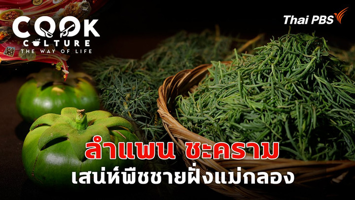 Fresh From the Shore : ลำแพน ชะคราม เสน่ห์พืชชายฝั่งแม่กลอง