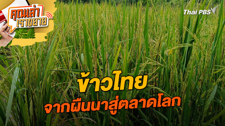 ข้าวไทย จากผืนนาสู่ตลาดโลก