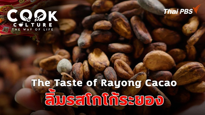 The Taste of Rayong Cacao : ลิ้มรสโกโก้ระยอง