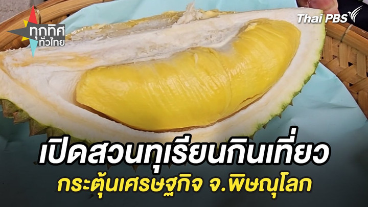 เปิดสวนทุเรียนกินเที่ยวกระตุ้นเศรษฐกิจ จ.พิษณุโลก