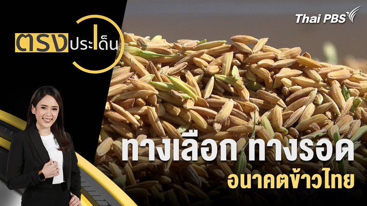 ทางเลือก ทางรอด อนาคตข้าวไทย