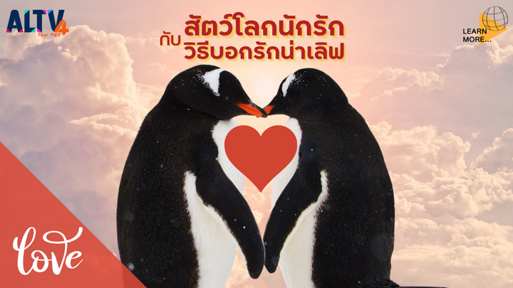 5 สัตว์โลกนักรัก กับวิธีบอกรักน่าเลิฟ
