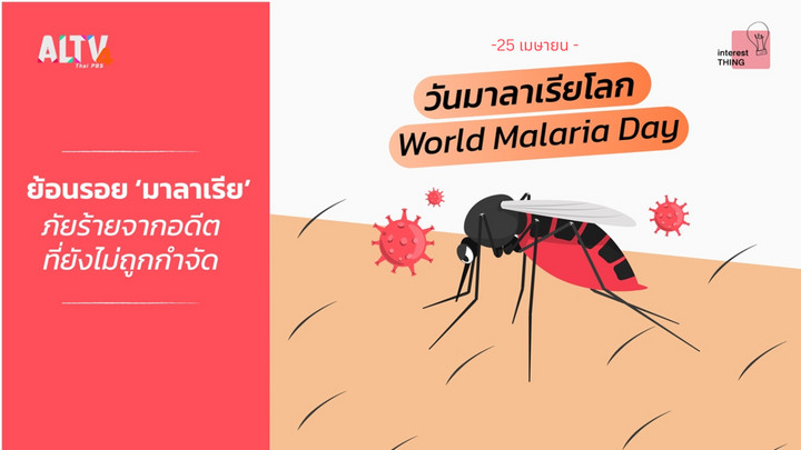 25 เมษายน วันมาลาเรียโลก ย้อนรอย ‘มาลาเรีย’ ภัยร้ายจากอดีตที่ยังไม่ถูกกำจัด