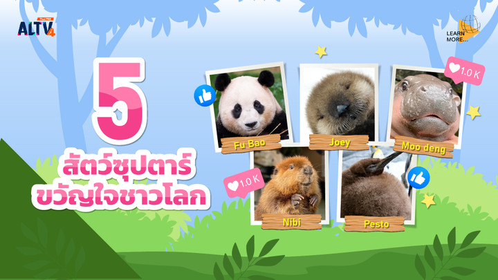 5 สัตว์ซุปตาร์ขวัญใจชาวโลก