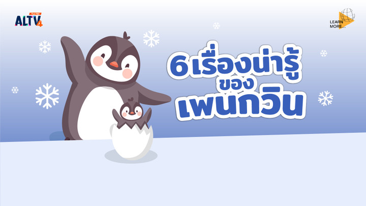 6 เรื่องน่ารู้ของเพนกวิน ที่คุณอาจไม่เคยรู้มาก่อน