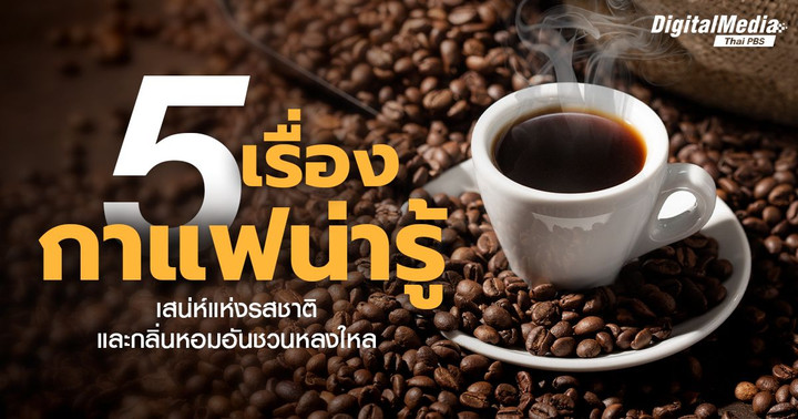 5 เรื่องกาแฟน่ารู้! เสน่ห์แห่งรสชาติและกลิ่นหอมอันชวนหลงใหล