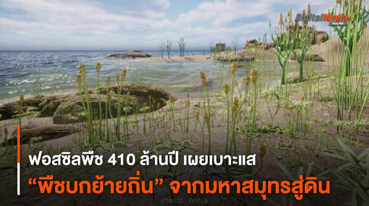 ฟอสซิลพืช 410 ล้านปี เผยเบาะแส “พืชบกย้ายถิ่น” จากมหาสมุทรสู่ดิน