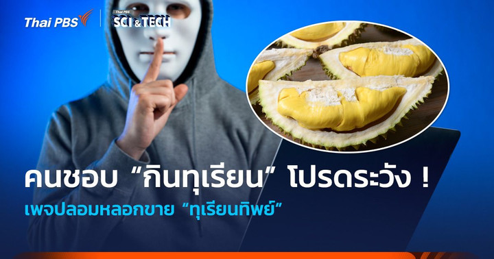 คนชอบ “กินทุเรียน” โปรดระวัง ! เพจปลอมหลอกขาย “ทุเรียนทิพย์”