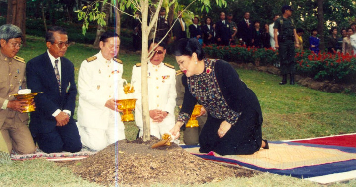 “พระมารดาแห่งการคุ้มครองความหลากหลายทางชีวภาพ”