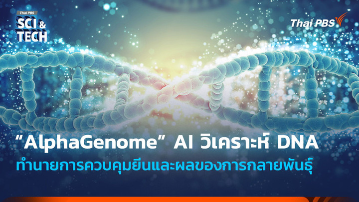 “AlphaGenome” AI วิเคราะห์ DNA ทำนายการควบคุมยีนและผลของการกลายพันธุ์
