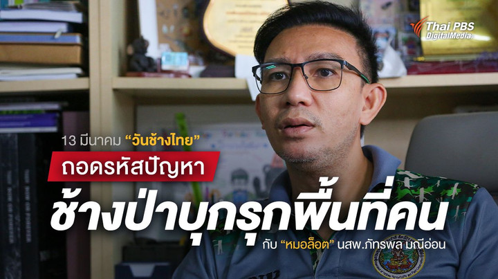 คุยกับ “หมอล็อต” นสพ.ภัทรพล มณีอ่อน แก้ปัญหาช้างป่า