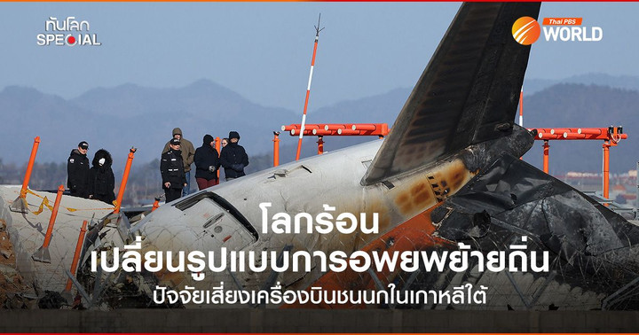 โลกร้อน เปลี่ยนรูปแบบการอพยพย้ายถิ่น ปัจจัยเสี่ยงเครื่องบินชนนกในเกาหลีใต้