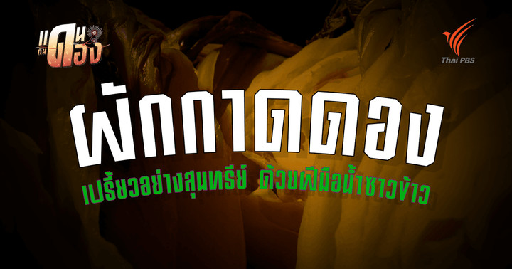 ถอดรหัส "ผักกาดดองน้ำซาวข้าว" ภูมิปัญญาบรรพบุรุษจีนสู่วิทยาศาสตร์ในโอ่ง