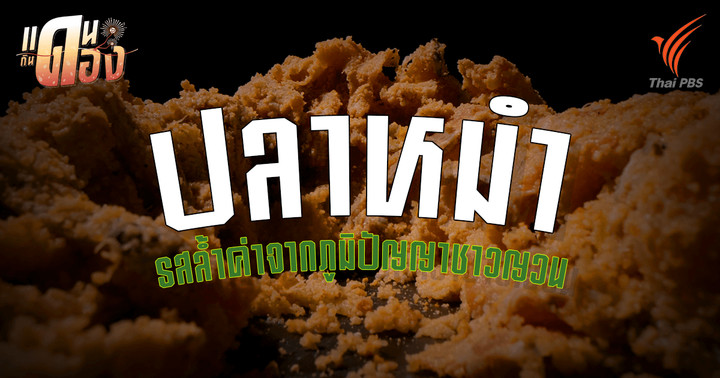 "ปลาหมำ" เรื่องเล่าย่านอุษาคเนย์ ผ่านวิทยาศาสตร์ที่ซ่อนอยู่ในไหดิน