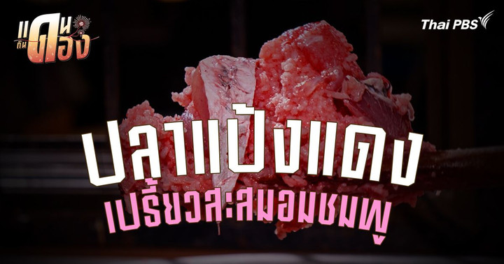 "ปลาแป้งแดง" ความอร่อยสีชาดแห่งถนนนางงาม สงขลา