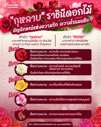 ความหมายดี ๆ ของ "กุหลาบ" แต่ละสี