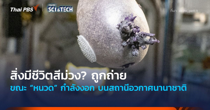 สิ่งมีชีวิตสีม่วง? ถูกถ่าย ขณะ “หนวด” กำลังงอก บน ISS