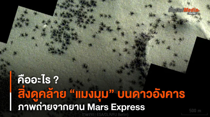 สิ่งดูคล้าย “แมงมุม” บนดาวอังคารคืออะไร ? ภาพถ่ายจากยาน Mars Express