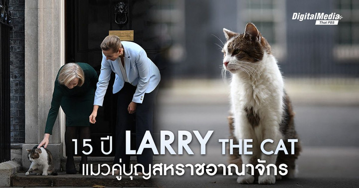 15 ปี ‘Larry the cat’ แมวคู่บุญบ้านผู้นำสหราชอาณาจักร