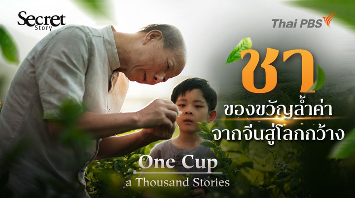 Secret Story | One Cup, A Thousand Stories 'ชา' ของขวัญล้ำค่าจากจีนสู่โลกกว้าง