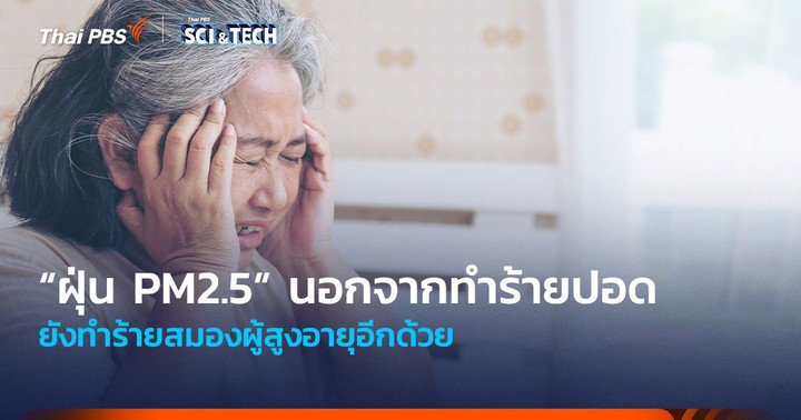 นอกจากทำร้ายปอด “ฝุ่น PM2.5” ยังทำร้ายสมองผู้สูงอายุอีกด้วย