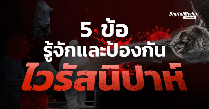 5 ข้อรู้จักและป้องกัน “ไวรัสนิปาห์”