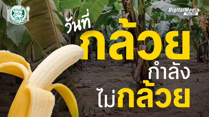 วันที่กล้วยกำลังไม่กล้วย