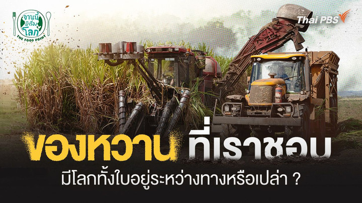 ของหวานที่เราชอบ มีโลกทั้งใบอยู่ระหว่างทางหรือเปล่า