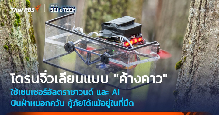 โดรนจิ๋วพลังโซนาร์ เลียนแบบ "ค้างคาว" บินฝ่าม่านหมอก-ควันไฟ กู้ภัยได้แม้ในที่มืด