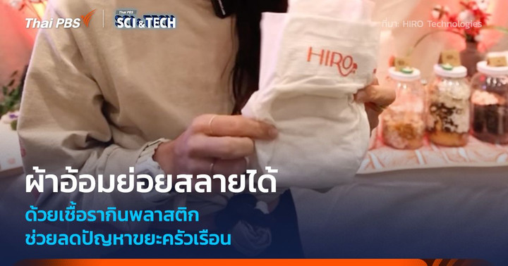 ผ้าอ้อมย่อยสลายได้ ด้วยเชื้อรากินพลาสติก ลดขยะครัวเรือน