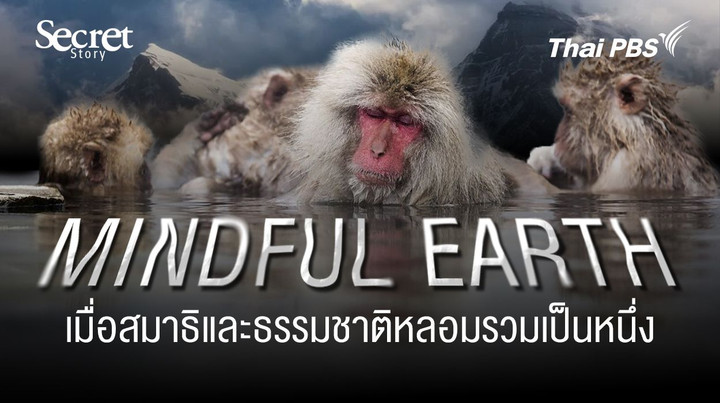 Secret Story | Mindful Earth เมื่อสมาธิและธรรมชาติหลอมรวมเป็นหนึ่ง