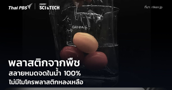 สุดว้าว! พลาสติกจากพืช สลายหมดจดในน้ำ 100% ไม่มีไมโครพลาสติกหลงเหลือ
