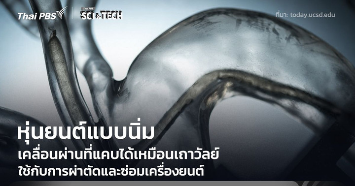 หุ่นยนต์แบบนิ่มขนาดจิ๋ว เคลื่อนผ่านที่แคบเหมือนเถาวัลย์ ใช้กับการผ่าตัดและซ่อมเครื่องยนต์