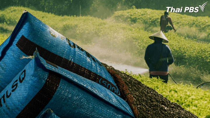 Cabinet rolls out Bt30bn fertiliser loan scheme