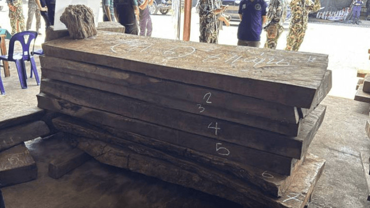 Burma padauk timber worth Bt14m seized in Nong Khai