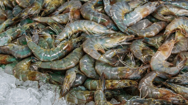 Thai shrimp exports to Malaysia expected to resume at the end of this month