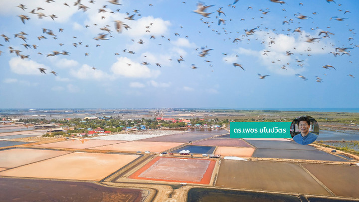 ‘นกไร้บ้าน’ สัญญาณของการพัฒนาที่ยังทิ้งธรรมชาติไว้ข้างหลัง