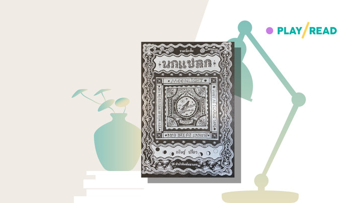 นกแปลก สังคมประหลาด