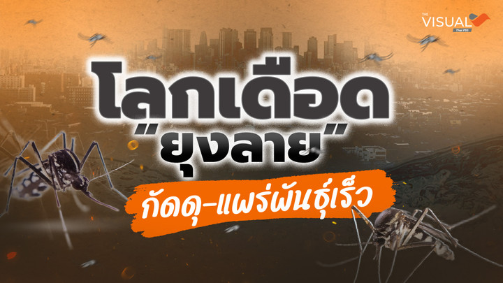 โลกเดือด "ยุงลาย" กัดดุ แพร่พันธุ์เร็ว