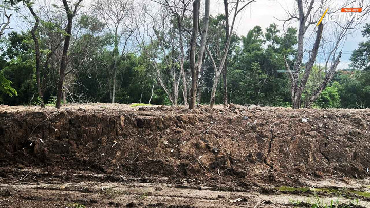 ห่วง ‘ต้นไม้พุทธมณฑล’ ไม่รอด! เหตุเอกชนขนดินถมสูง – จี้ตรวจสอบที่มาหวั่นดินปนเปื้อน